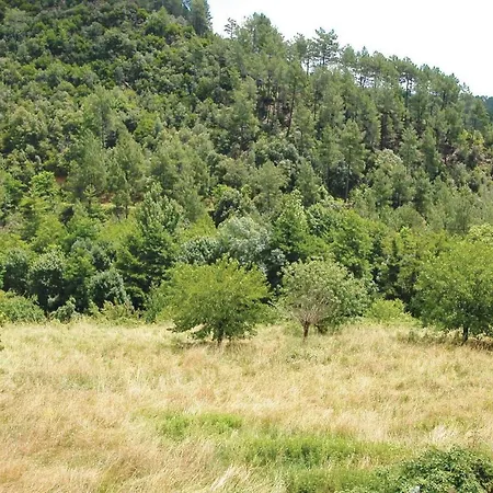 L'elziere