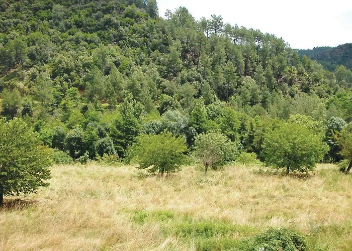 L'elziere